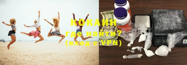 прущие грибы Магадан