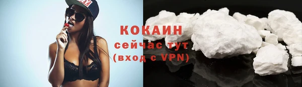 твердый Майский