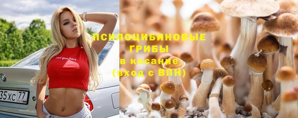 гашишное масло Ладушкин