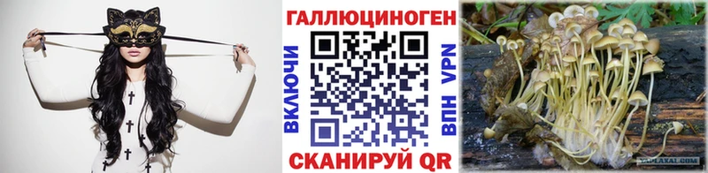 Галлюциногенные грибы Cubensis  Ленинск 